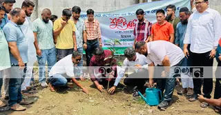 ময়মনসিংহ সিটি করপোরেশনের বৃক্ষরোপণ কার্যক্রম শুরু